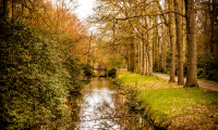 Park de Horsten, Wassenaar - foto Kati van Helden