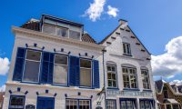 Delftse Pauw
