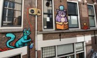 De katten op de gevel tonen typerend kattengedrag! Foto: Gordon Meuleman