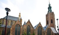 Haagse Toren