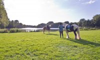 Recreatiegebied Madestein