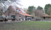 BuurtBoerderij Nijkamphoeve