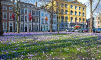 Lange Voorhout