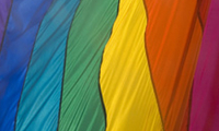 Regenboog vlag