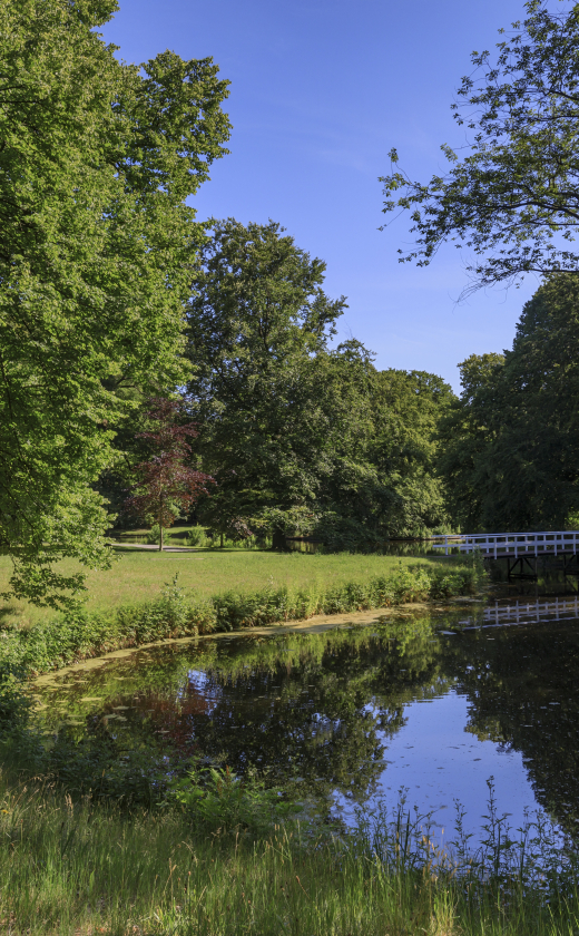 Een vijver met groene bomen op Landgoed Clingendael Een vijver met groene bomen op Landgoed Clingendael