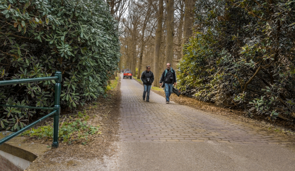 Park de Horsten, Wassenaar - foto Kati van Helden. Park de Horsten, Wassenaar - foto Kati van Helden.