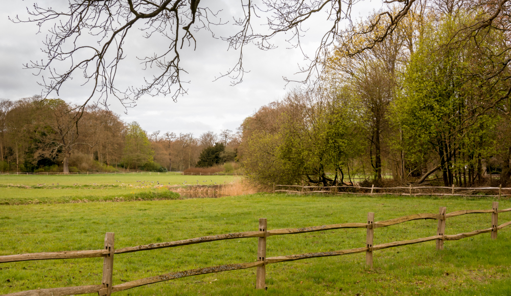 Park de Horsten, Wassenaar - foto Kati van Helden Park de Horsten, Wassenaar - foto Kati van Helden