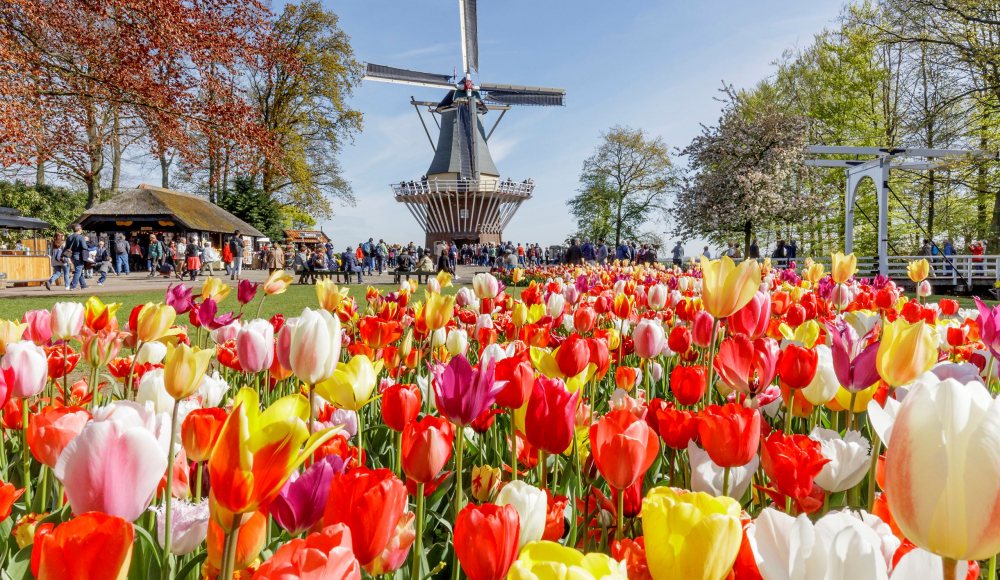 Keukenhof Keukenhof
