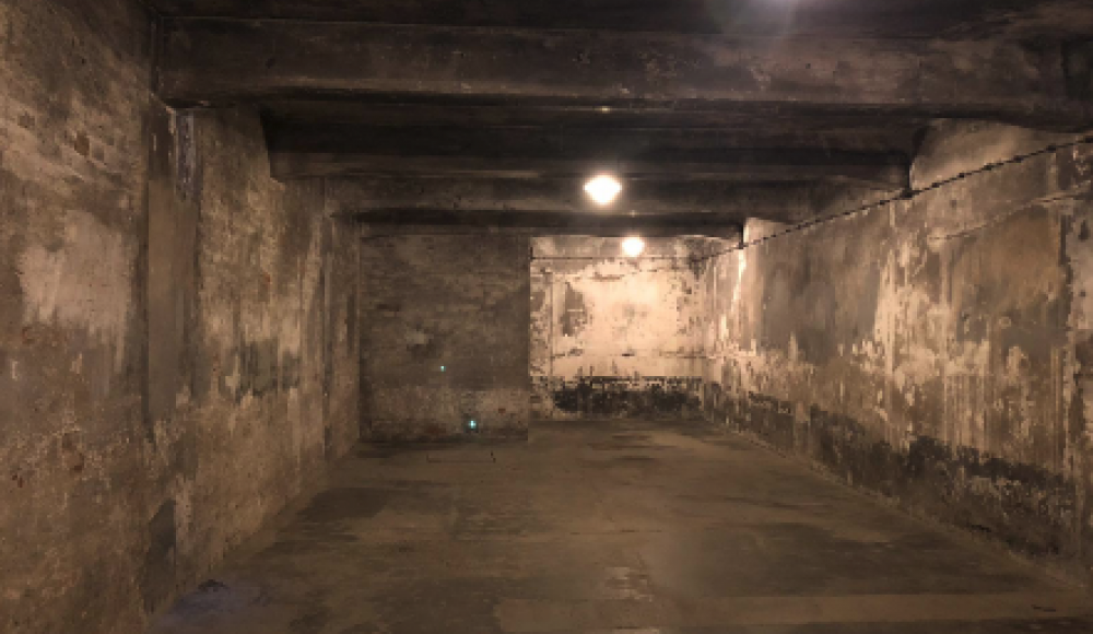 75 jaar Vrijheid Den Haag - Auschwitz Reis - gaskamer