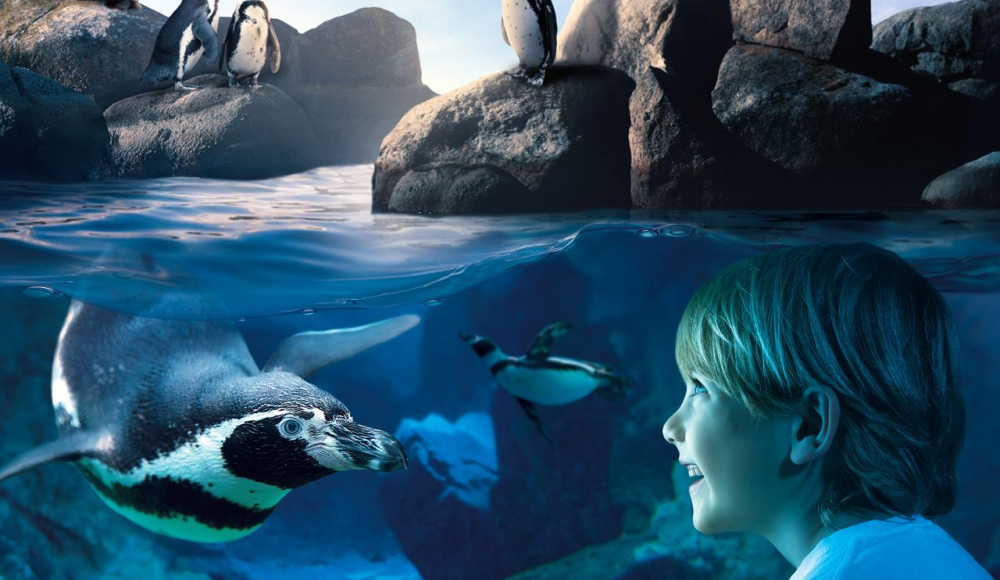 Sea Life Scheveningen Sea Life Scheveningen