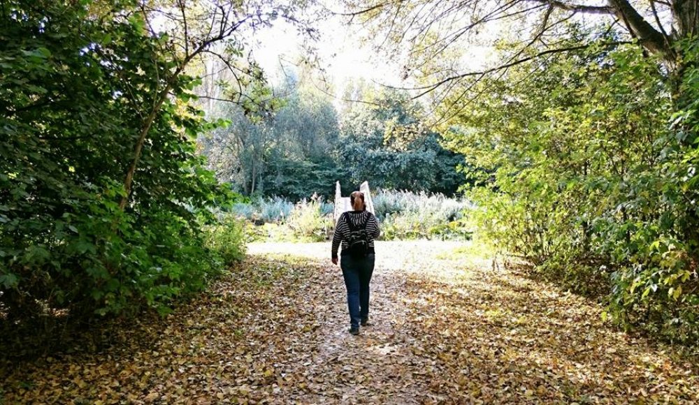 Wandelen in het Groen Wandelen in het Groen