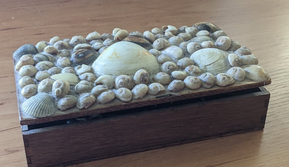 Schelpendoosje Schelpendoosje