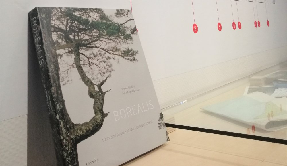 Boek Borealis - Life in the woods Boek Borealis - Life in the woods