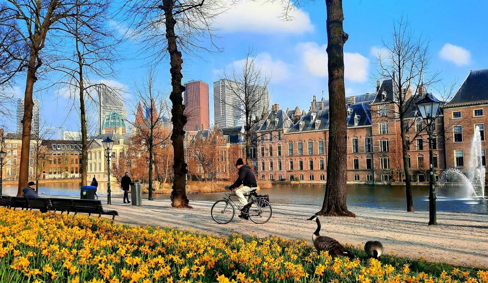 Lente in Den Haag Hofvijver Lange Vijverberg Narcissen
