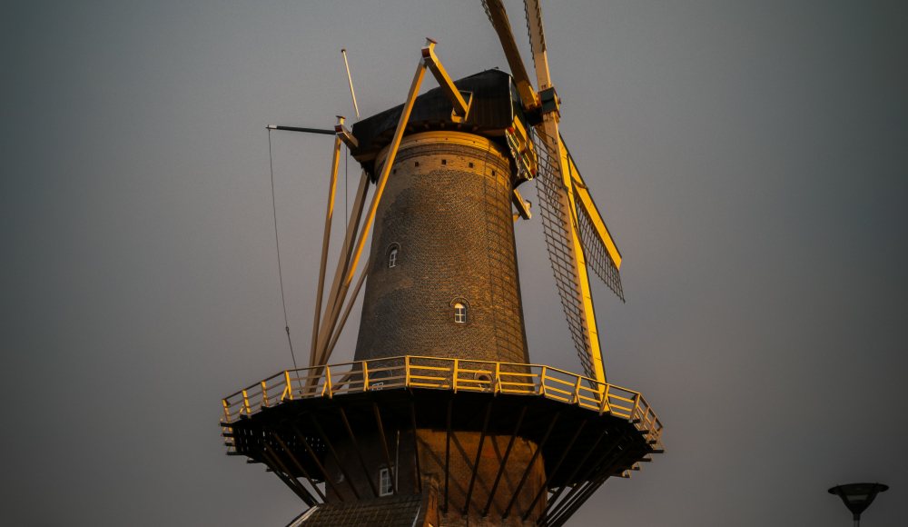 Molen De Roos Foto Rob Hogeslag