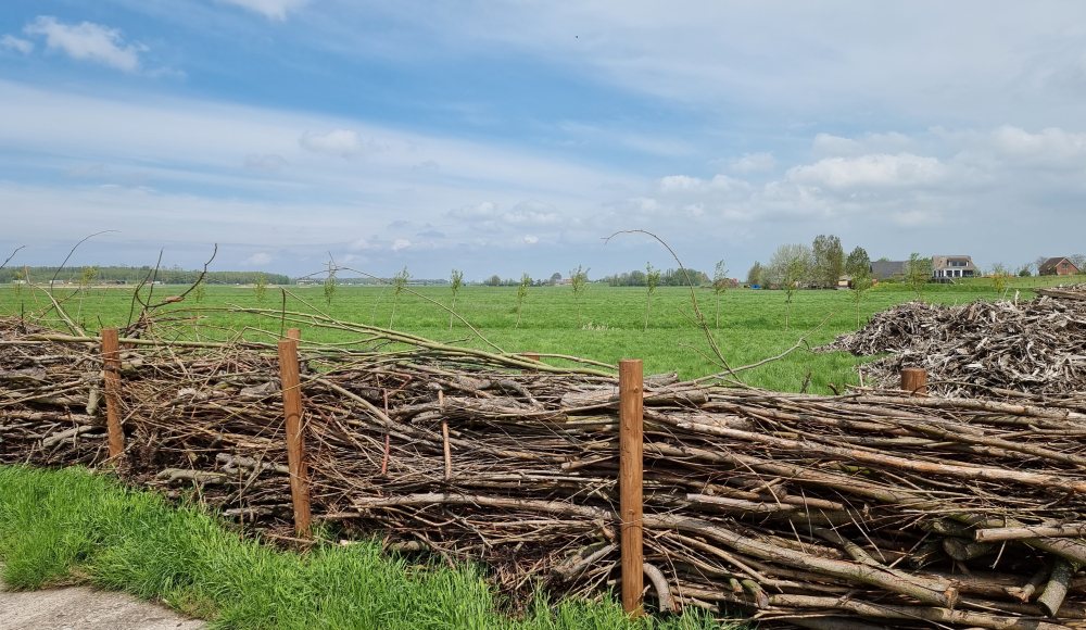 Buitenplaats Molenwei Leidschendam Buitenplaats Molenwei Leidschendam