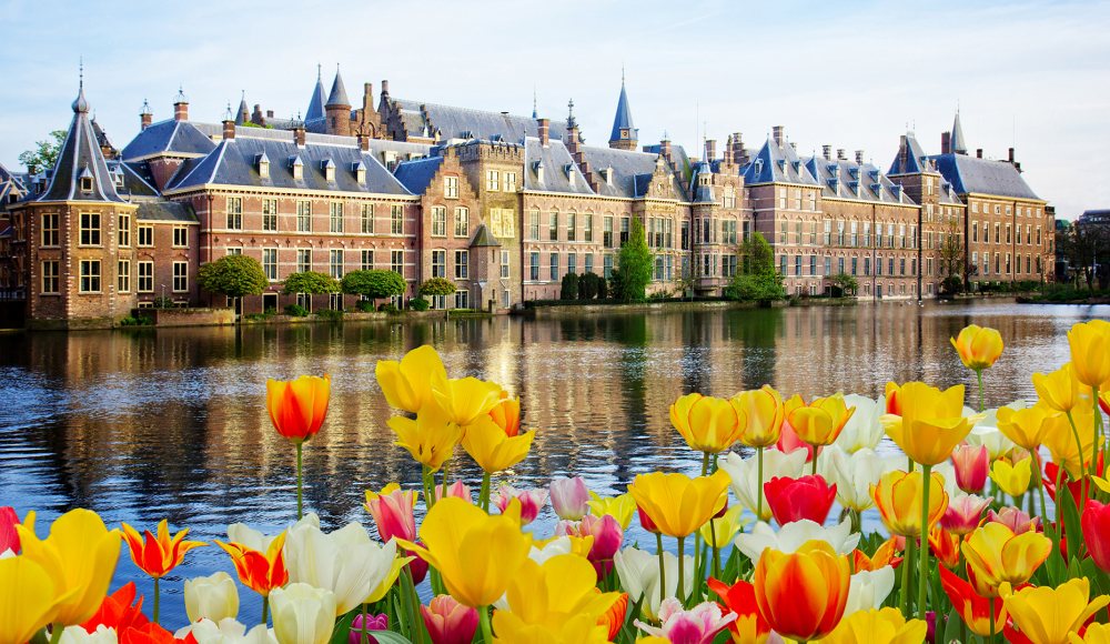 Geel rode bloemen voor de Hofvijver Geel rode bloemen voor de Hofvijver