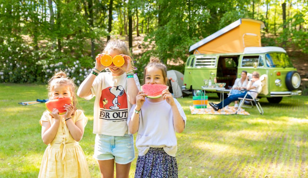 Duinrell Wassenaar - camping