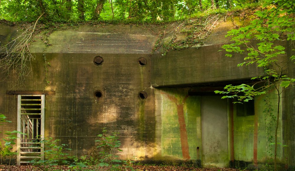 Eén va de vele bunkers in het Staelduinse Bos Eén va de vele bunkers in het Staelduinse Bos