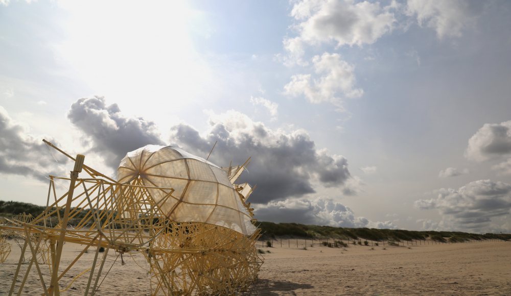 Strandbeest op het strand die zelfstandig in beweging komt door de wind Strandbeest op het strand die zelfstandig in beweging komt door de wind
