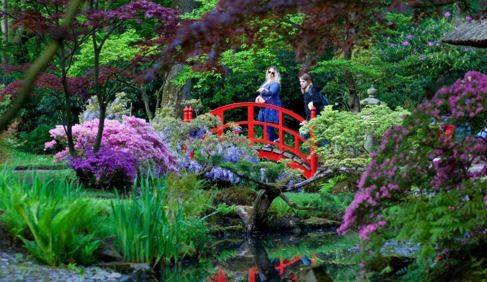 Japanse Tuin Japanse Tuin