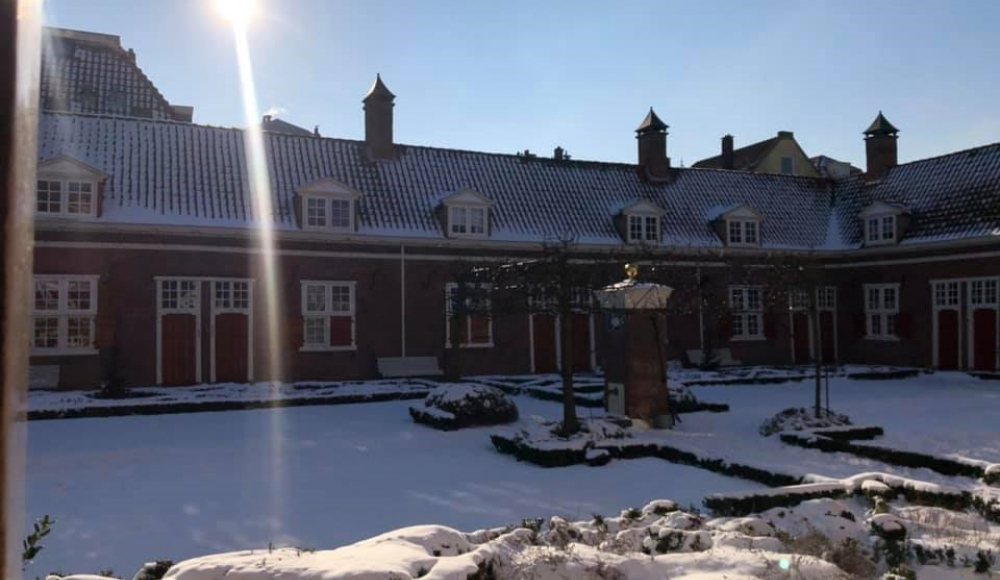 Sneeuw in het Hof van Wouw Sneeuw in het Hof van Wouw