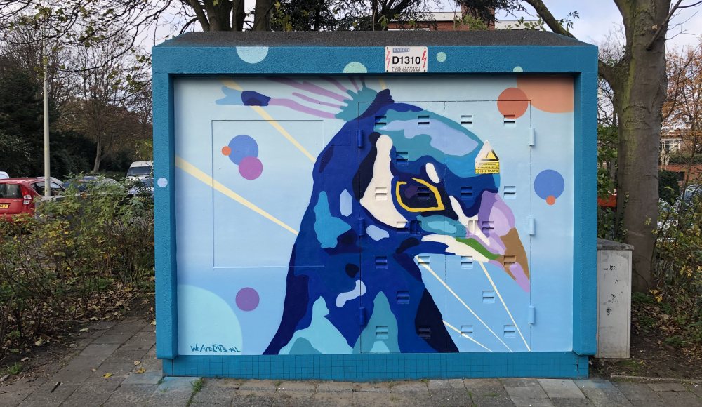 Artwork blauwe Pauw op Haags Electriciteitshuisje Artwork blauwe Pauw op Haags Electriciteitshuisje