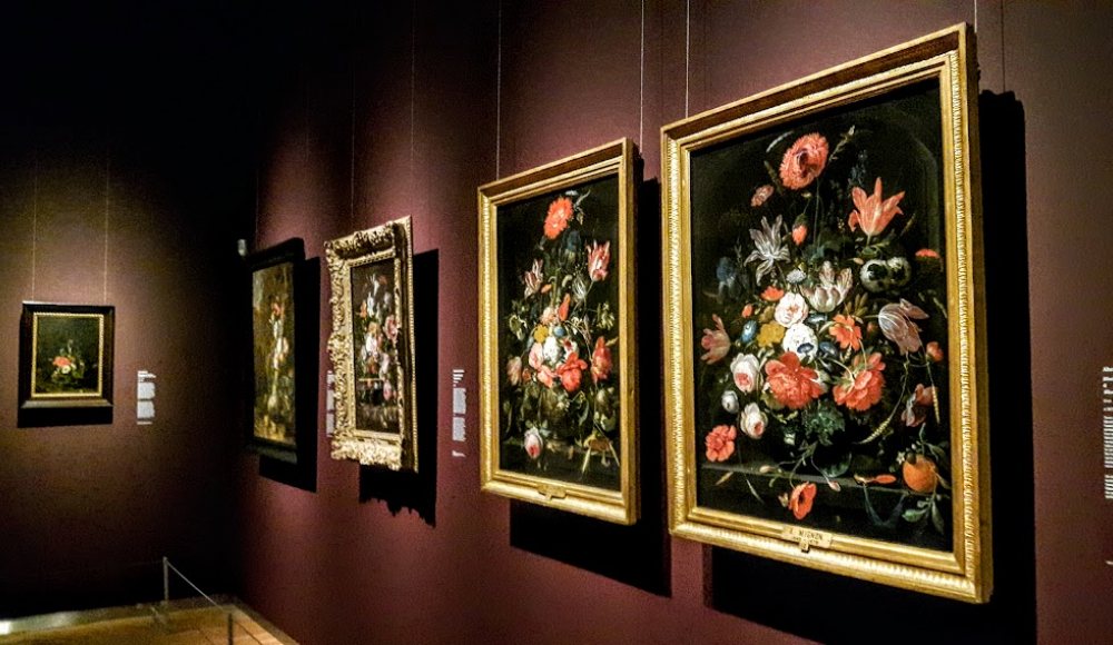 Header Cultuuraanjager Jeanne Rutten Mauritshuis Header Cultuuraanjager Jeanne Rutten Mauritshuis