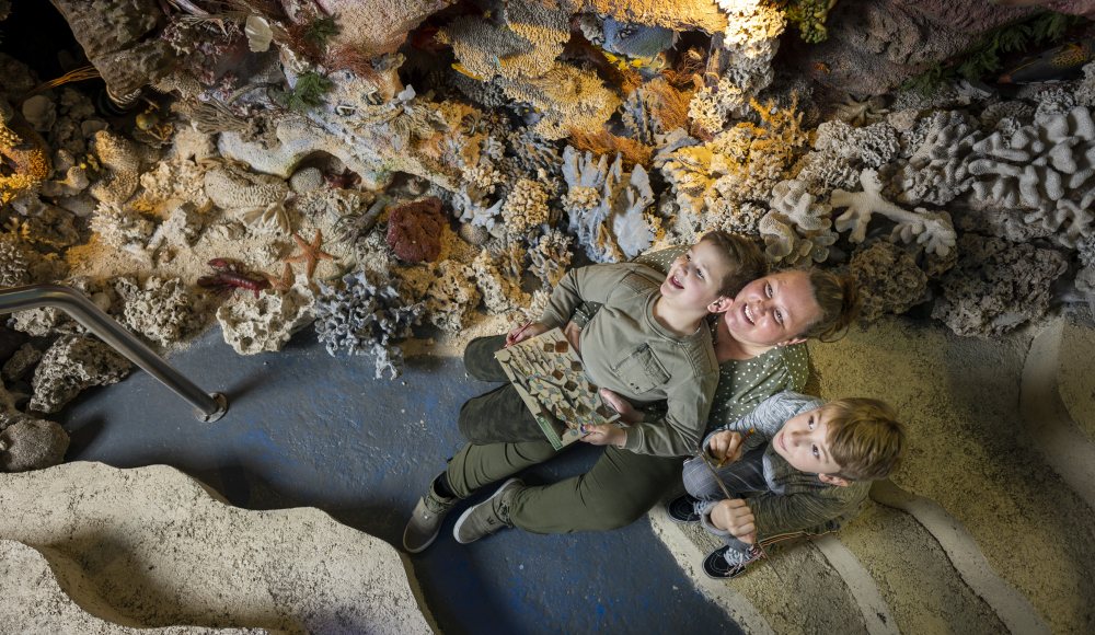 muzee scheveningen zeezaal door arnaud roelofsz