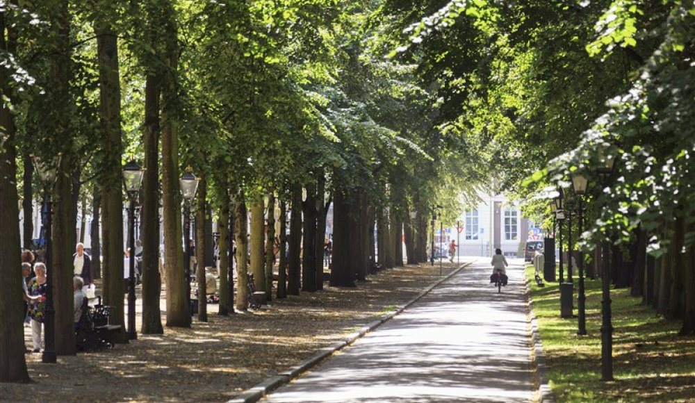 Lange Voorhout in Den Haag