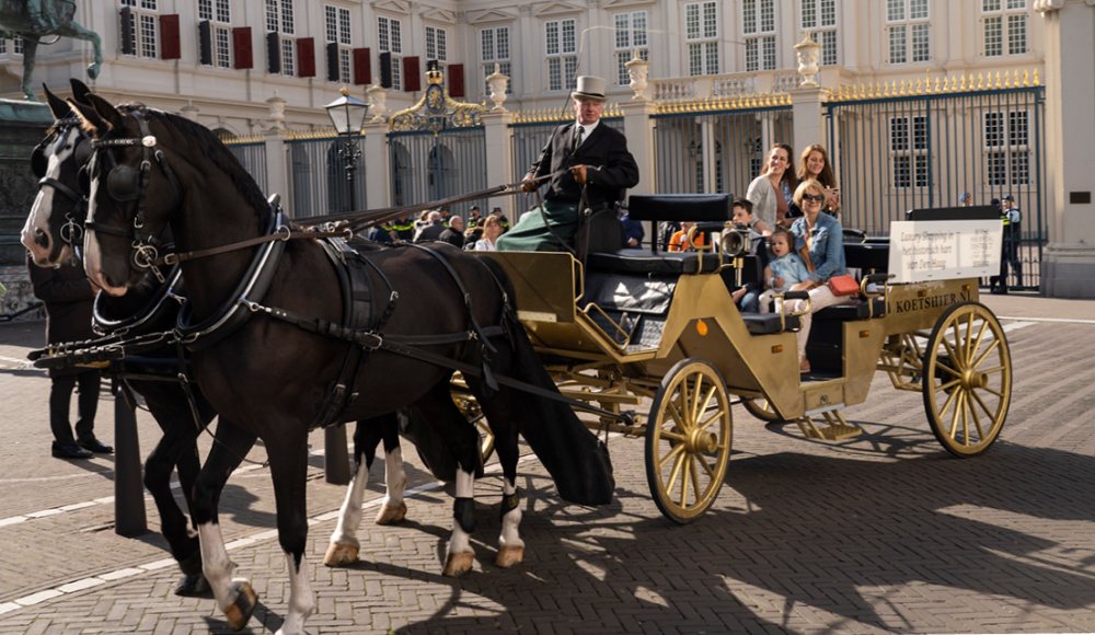 Koninklijk Den Haag Koninklijk Den Haag