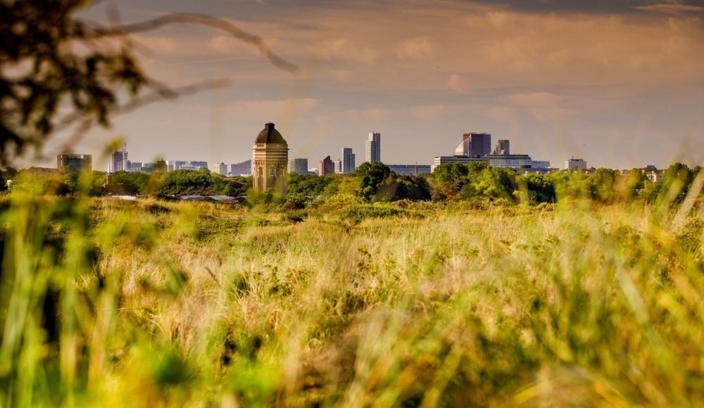 NPHD Meijendell skyline Den Haag