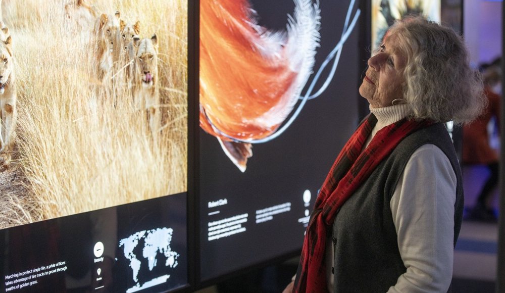 National Geographic foto expo Museon-Omniversum
