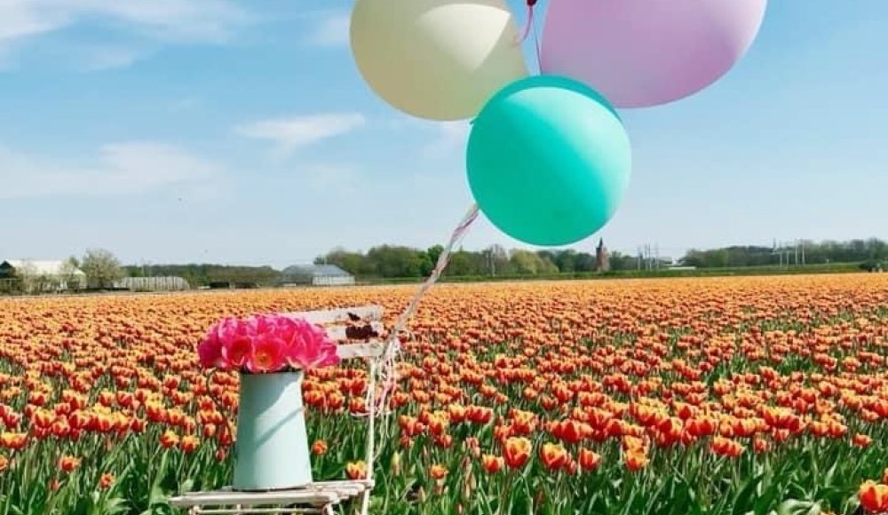Bollenvelden Lisse Keukenhof