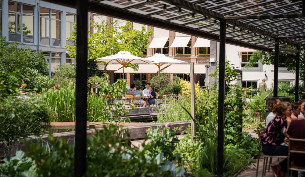 Cafe Soof Cafe Soof