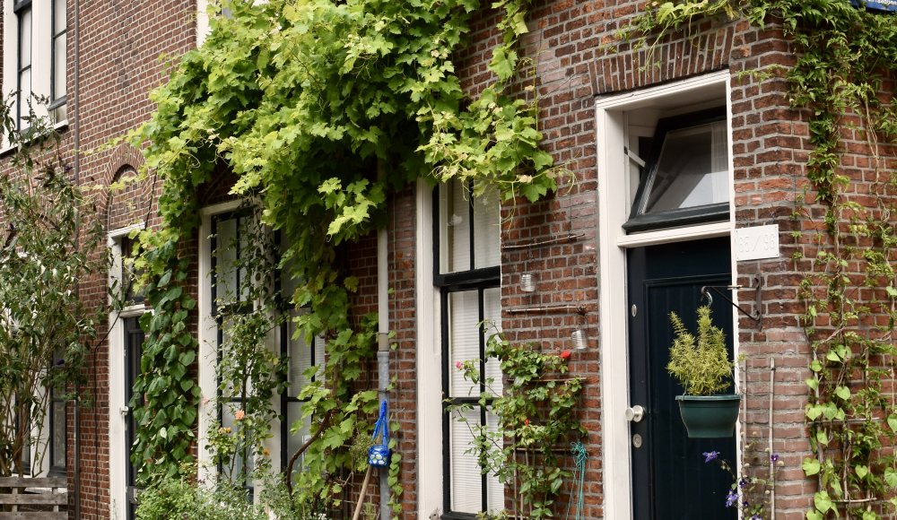 Schilderswijk Jacobs Catsstraat hofje