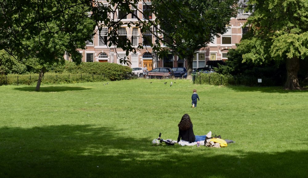Statenkwartier Frederikhendrik plein park