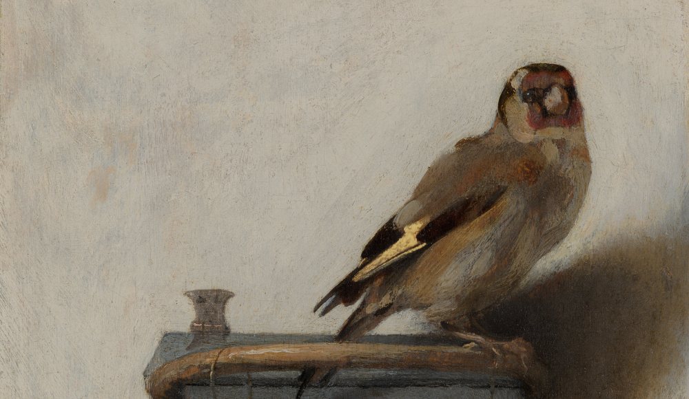Het Puttertje Carel Fabritius Mauritshuis Het Puttertje Carel Fabritius Mauritshuis