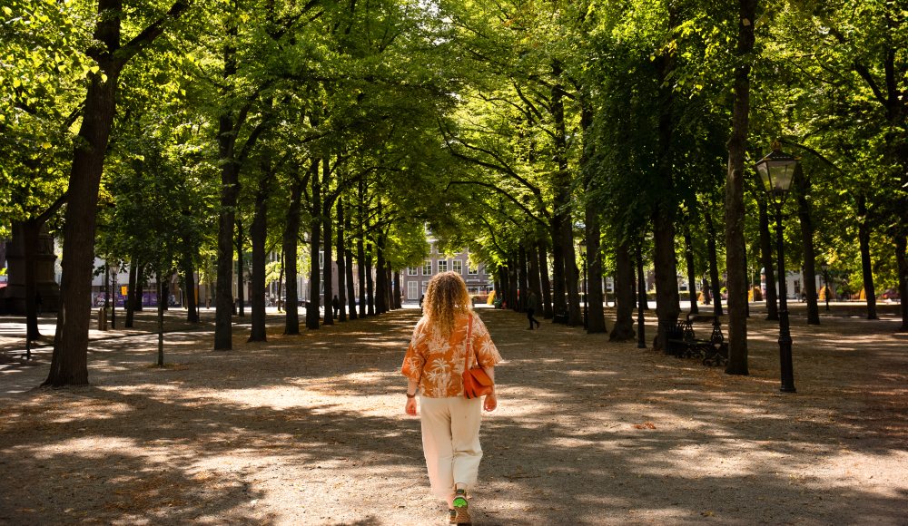 Lange Voorhout in Den haag - Veerle Sloof 