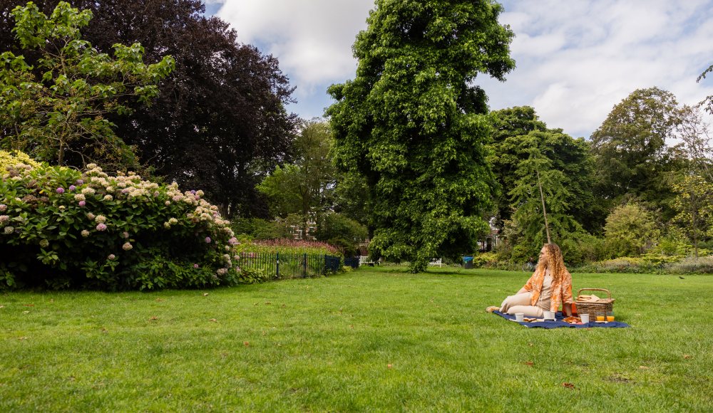 Picknicken in de Paleistuin in Den Haag - Veerle Sloof