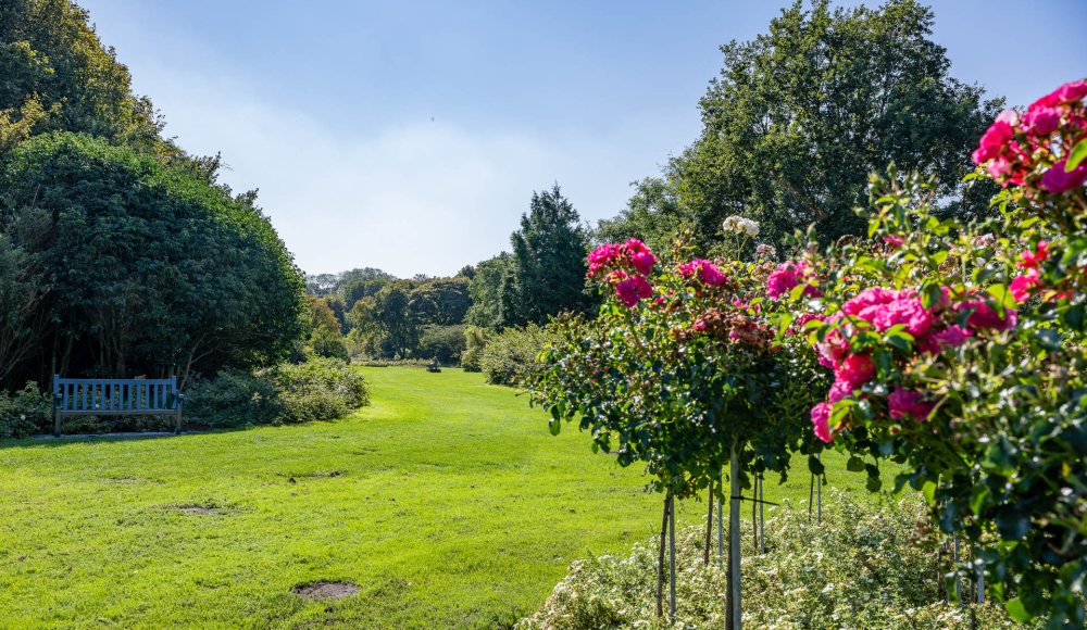 Rosarium Westbroekpark