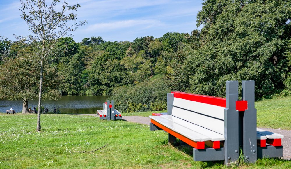 Waterpartij bij de eendjesvijver