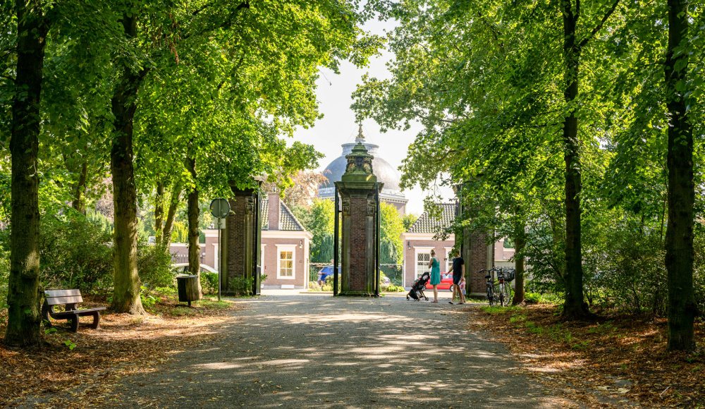 Scheveningse Bosjes