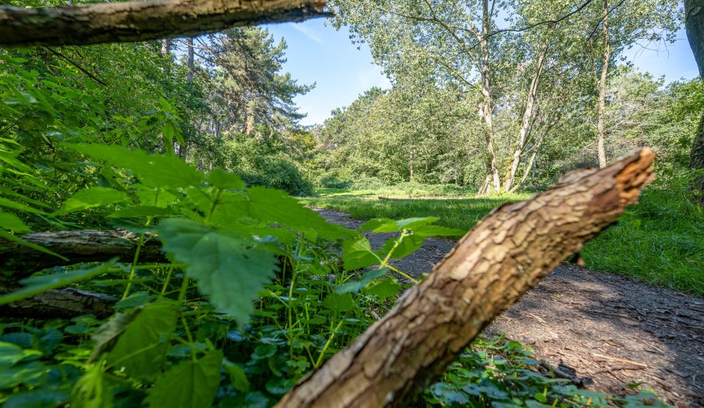 Van Stolkpark Belvedere
