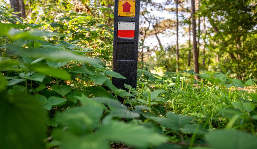 Van Stolkpark Belvedere