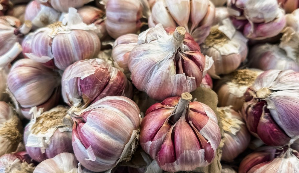 Haagse Markt - Knoflook