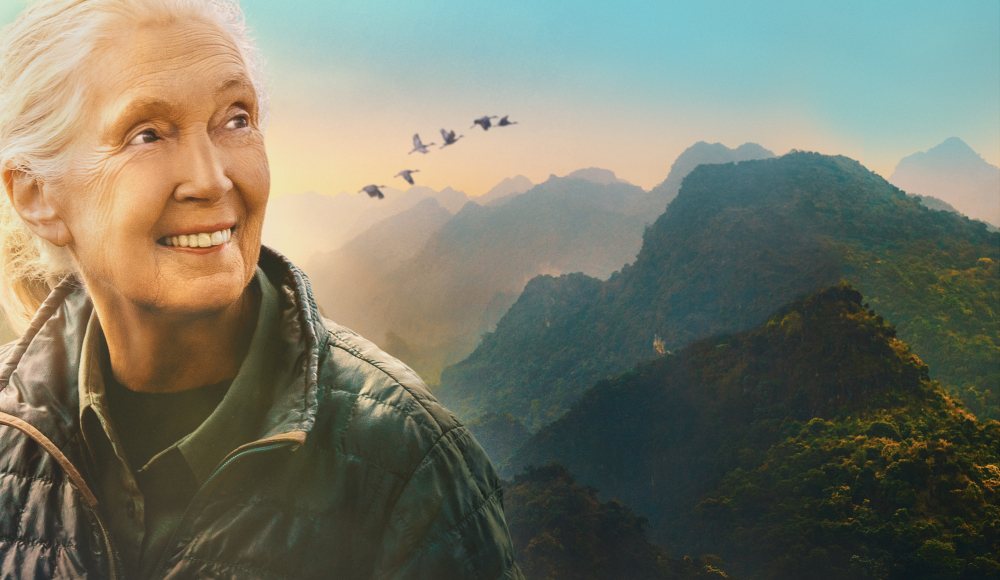 Jane Goodall - Reasons for Hope filmposter