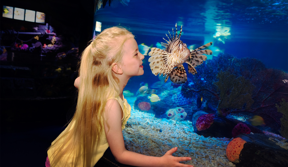 SEA LIFE Scheveningen