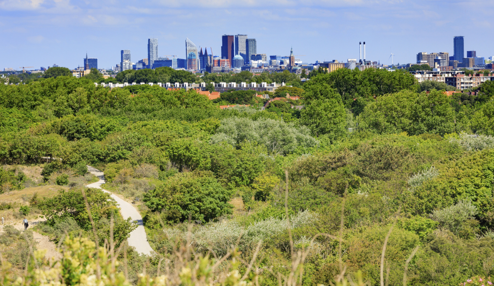 Uitzicht op de skyline van centrum Den Haag vanuit het Westduinpark
