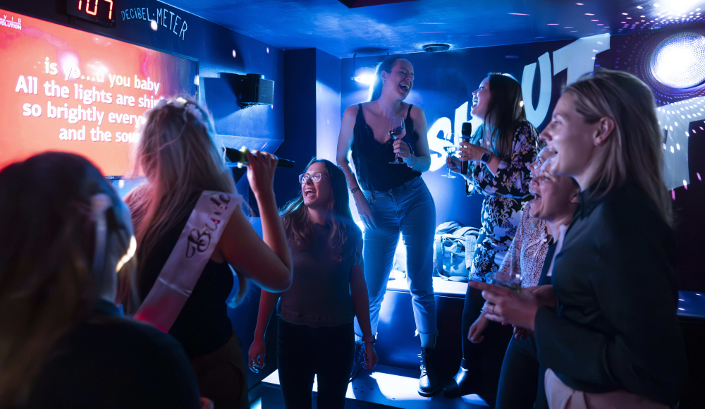 Prive Karaoke Zaal bij Bleyenberg